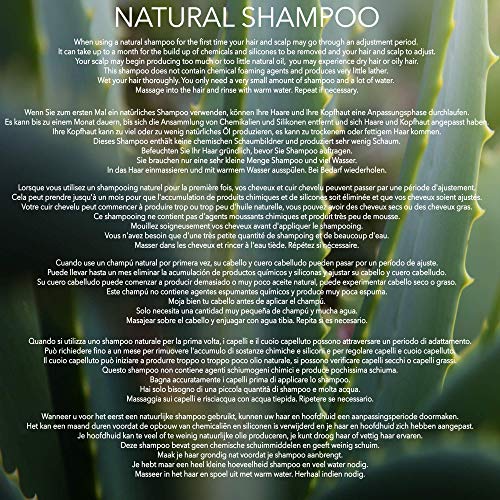 Natural - CHAMPÚ ACLARANTE - VINAGRE DE SIDRA DE MANZANA, COCO, ÁRBOL DE TÉ & EUCALIPTO - 250 ml - por POO FREE - Sin Sulfatos, Sin Parabenos, Sin Silicona. Concentrado, Fàcil de Enjuagar.