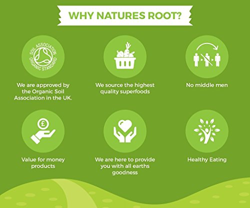 Natures Root Premium polvo de hoja verde de stevia – Edulcorante sostituivo dello Azúcar | sano & Natural | cero calorías 500g