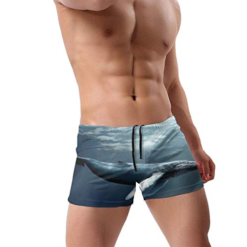 NHNH Trajes de baño para Hombres Trajes de baño Calzoncillos de Ballena de Agua Breves Trajes de baño de Secado rápido Pantalones Cortos de Junta