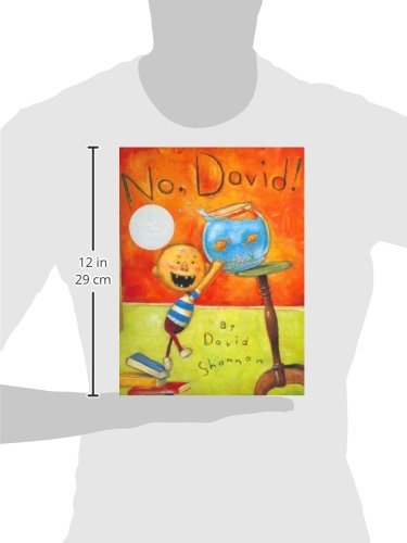 No David! (Caldecott Honor Book)