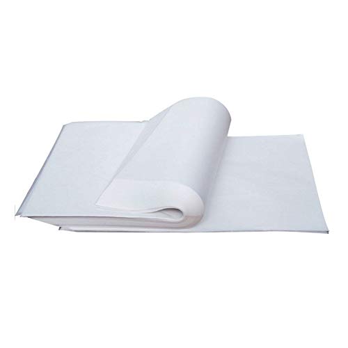 Nuluxi Transparente Papel A4 Transparente Cebolla Papel Papel de Trazado de Dibujo A4 Puede Usar para Pintar Dibujar Escritura Dibujo Elegantes Invitaciones de Boda Más de Arte(100 hojas)