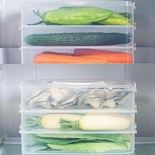 Nyfcc Frigorífico Multi-Capa for Frutas y Verduras Cocina ultracongelados de Masa hervida Caja con Tapa de Almacenamiento de Alimentos Congelador (Color : White)