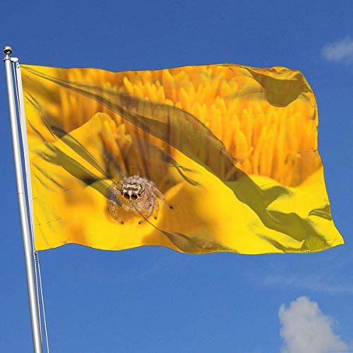 Oaqueen Banderas, Fly Breeze 3 X 5 Foot Flag Spider Yellow Vivid Color and UV Fade Resistant Canvas Header and Double Stitched Bandera del jardín