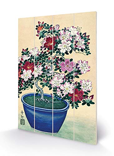 Ohara Koson SW12741A - Impresión sobre Madera, 40 x 59 cm, diseño azaleado en Flores en Maceta Azul, Multicolor, 40 x 59 x 1,2 cm