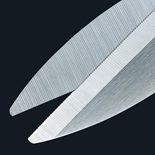 Olfa SCS-2 - Tijeras multiusos de gran precisión con cuchillas dentadas de acero inoxidable (170 mm)