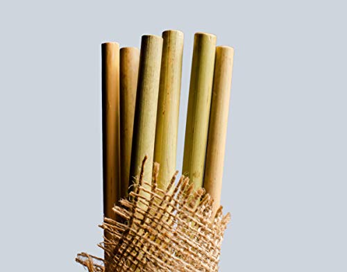 Pajitas Bambú Packawin | Pack 10 pajitas + Limpiador | Producto ecológico, reutilizable y biodegradable | Pajitas cócteles | Pajitas largas |
