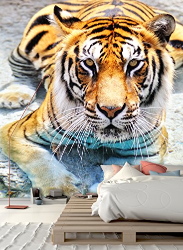 Papel pintado de la foto del PVC - etiqueta autoadhesiva de la pared de ECO Mural - etiqueta engomada de la pared del vinilo 3D - Tigre de Bengala SW021(50X50CM)