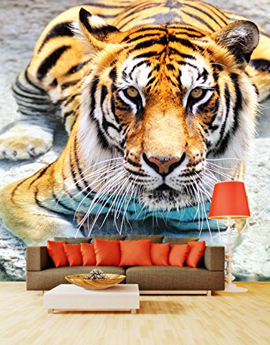 Papel pintado de la foto del PVC - etiqueta autoadhesiva de la pared de ECO Mural - etiqueta engomada de la pared del vinilo 3D - Tigre de Bengala SW021(50X50CM)