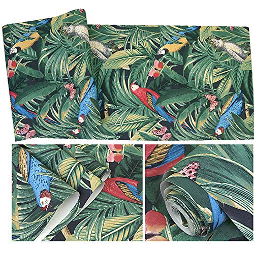 Papel pintado para pared con diseño de pájaros y loro tropical de 39" x 21", decoración para el hogar, sin tejer, N.º 2, 39" x 21" (100x53cm)