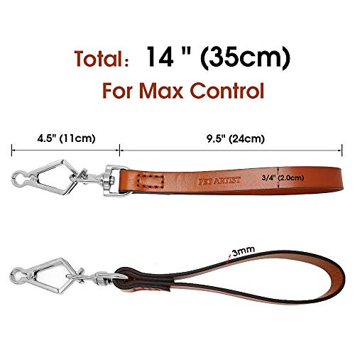 PET ARTIST No Pull Correas para perros cortas Correa para mascotas para perros medianos grandes, Marrón Correa para perros de cuero suave Tráfico de cables 2.0 cm x 35 cm