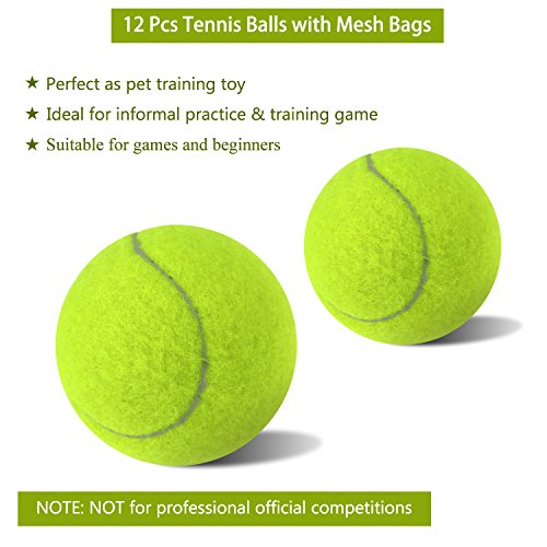 Philonext 12 PCS pelotas de tenis con bolsa de malla de transporte, bolas de tenis sin presión bolas de práctica jugando con mascotas deportes bolas de cubo para el transporte fácil