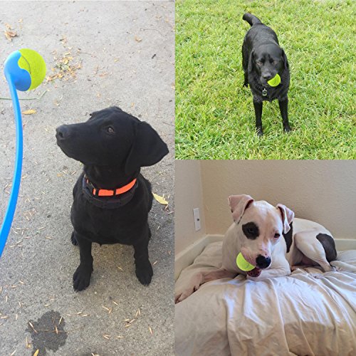 Philonext 12 PCS pelotas de tenis con bolsa de malla de transporte, bolas de tenis sin presión bolas de práctica jugando con mascotas deportes bolas de cubo para el transporte fácil