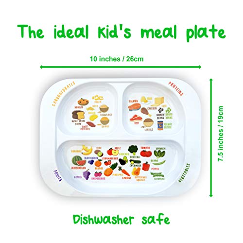 Plato dividido de aprendizaje saludable para niños (4) | Aprenda Nutrición y Grupos de Alimentos | Secciones de colores para los más caprichosos | Melamina apta para niños, apta para lavavajillas