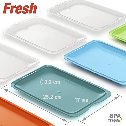 PracticDomus Lote de 4 Porta Embutidos y Alimentos Sistema Fresh, Conservación Optima de Lonchas en Nevera, Medidas 17 x 3.2 x 25.2 cm (1 Turquesa)