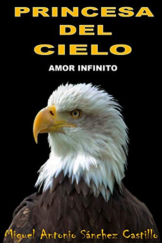 PRINCESA DEL CIELO: AMOR INFINITO