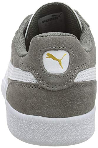 PUMA ICRA Trainer SD, Zapatillas Unisex Adulto, Gris (Steel Gray White), 41 EU