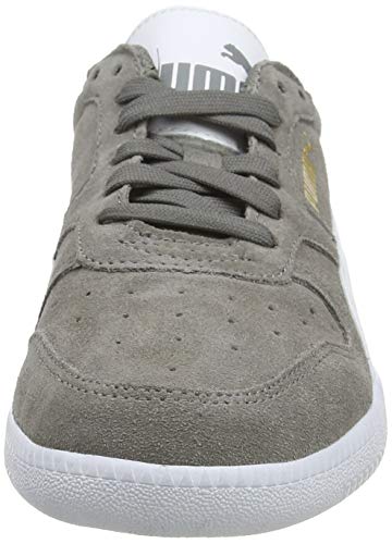 PUMA ICRA Trainer SD, Zapatillas Unisex Adulto, Gris (Steel Gray White), 41 EU