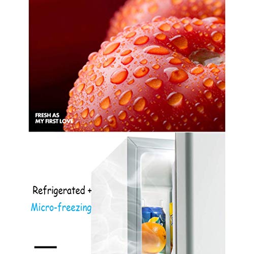 QCYSK Minirefrigerador Blanco 50L Frigorífico bajo mostrador con Compartimento Enfriador Cubierto - Máquina de Almacenamiento de Alimentos para Bebidas pequeñas para Oficina, Dormitorio o Ap