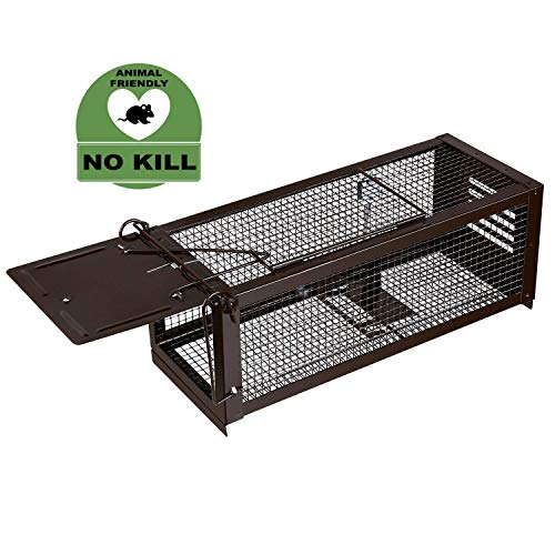 RatzFatz Trampa para ratas Profesional XL 32 x 13 x 13 cm, Sensibilidad ajustable, ideal Para Atrapar Ratones, Ratas y Otros Animales Pequeños Sin matarlos, Humanitario y Reutilizable