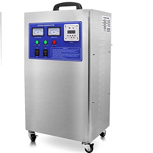 Raymonj 12g/h Generador de ozono Industrial Máquina de ozono Desinfección Purificador de Aire para Tratamiento de Agua, Alimentos, fábrica