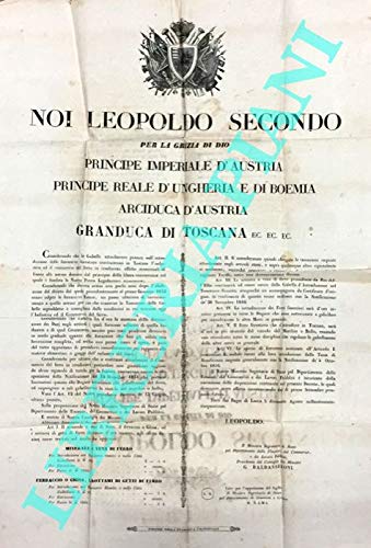 Regolamento sull'importazione di minerale o vena di ferro, ferraccio, ghisa e rottami di getti de ferro.