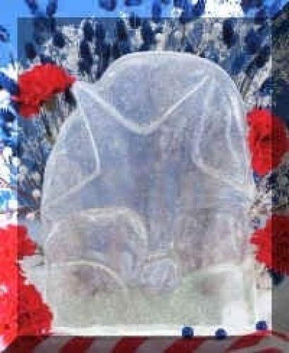 Reusable Star Ice Sculpture Mould