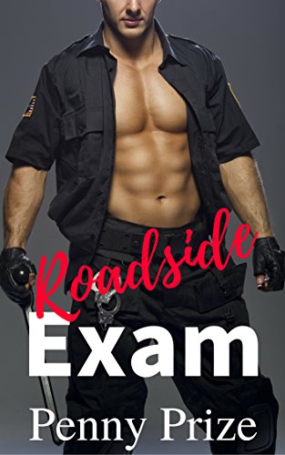 Roadside Exam (English Edition)