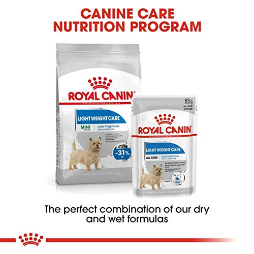 ROYAL CANIN Mini Light - 8000 gr