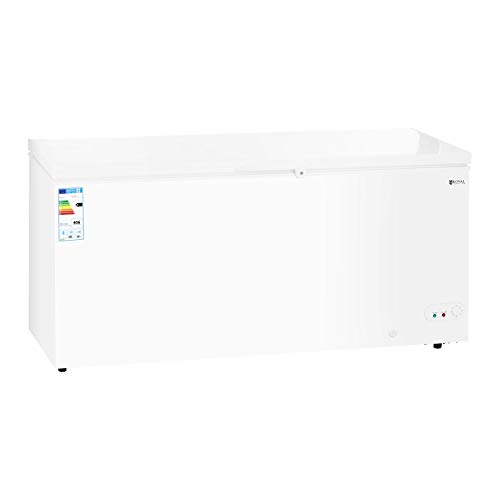 Royal Catering Arcón Congelador Profesional RCFZ-560 (560 L, A+, Consumo anual 406 kWh, Iluminación interior, Cerradura, Temperatura -12 bis - 28°C, incl. 4 Cestas)