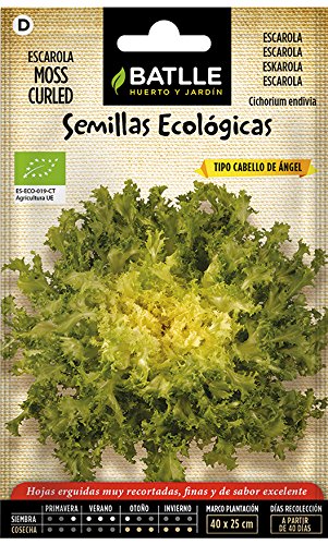 Semillas Ecológicas Hortícolas - Escarola Cabello de Ángel- ECO - Batlle