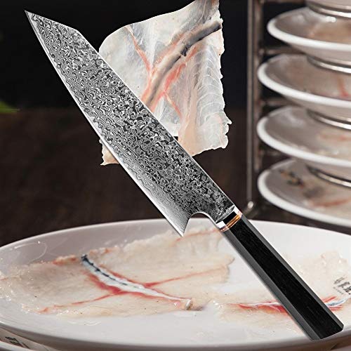 SJZS Cuchillo de Cocina Cuchillo Hecho a Mano de 67 Capas de Acero Inoxidable japonés de Damasco Cuchillo Chef Kiritsuke T Jefe de Cocina Cuchillos de Madera de la manija