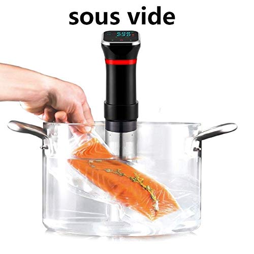 Sous Vide Cooker, circulador de inmersión térmica, agua ultra silenciosa con temporizador digital de temperatura precisa, acero inoxidable, 1000W