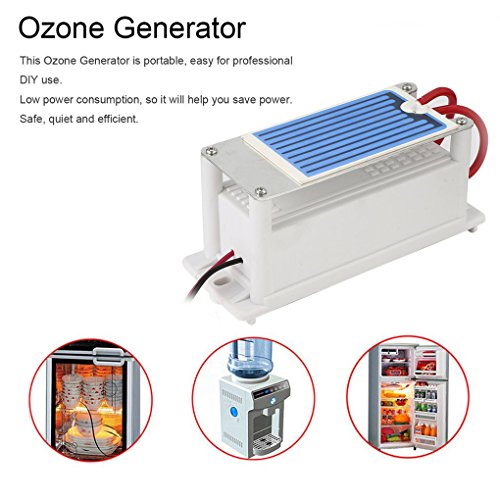 Sunlera 220V Mini Generador de ozono Integrado de la Placa de cerámica de Aire ozonizador la máquina de hogar Bricolaje purificador de Aire de olores Eliminación