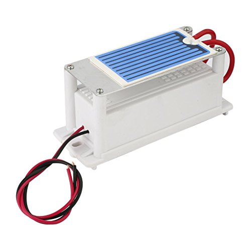 Sunlera 220V Mini Generador de ozono Integrado de la Placa de cerámica de Aire ozonizador la máquina de hogar Bricolaje purificador de Aire de olores Eliminación