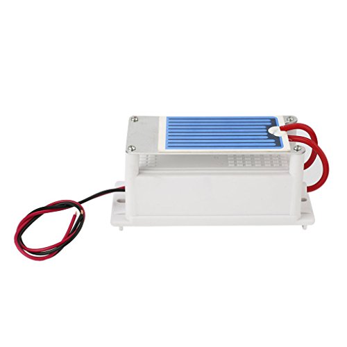 Sunlera 220V Mini Generador de ozono Integrado de la Placa de cerámica de Aire ozonizador la máquina de hogar Bricolaje purificador de Aire de olores Eliminación