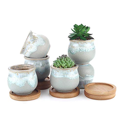 T4U 6CM Macetas para Cactus Mini Paquete de 6, Pequeñas Maceta Suculentas de Ceramica Redondo para Plantas Bonsai Maceteros Decorativos Interior