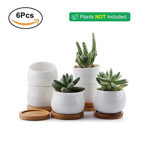 T4U 7cm Cerámico Colección Blanca NO.31 Suculento Maceta Cactus Flor Macetas Envase Plantas con Bandejas de Bambú Conjunto de 6