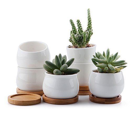 T4U 7cm Cerámico Colección Blanca NO.31 Suculento Maceta Cactus Flor Macetas Envase Plantas con Bandejas de Bambú Conjunto de 6