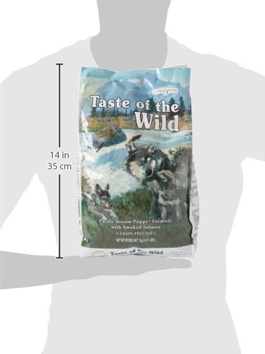 Taste Of The Wild pienso para cachorros con Salmon ahumado 2 kg Pacific stream puppy