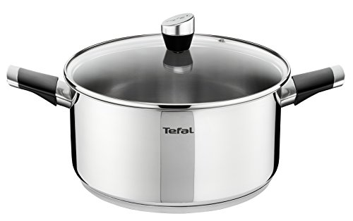 Tefal Emotion E8234614 Olla con Tapa, 24 Cm, Acero Inoxidable/Cristal, Plateado/Transparente