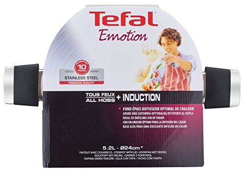 Tefal Emotion E8234614 Olla con Tapa, 24 Cm, Acero Inoxidable/Cristal, Plateado/Transparente
