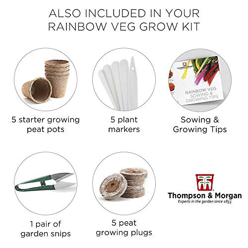 Thompson & Morgan Cultivo Kits Regalo Cajas - Arcoiris Vegetal