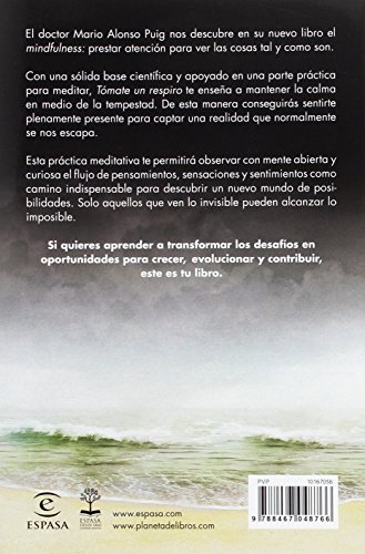 ¡Tómate un respiro! Mindfulness: El arte de mantener la calma en medio de la tempestad (FUERA DE COLECCIÓN Y ONE SHOT)