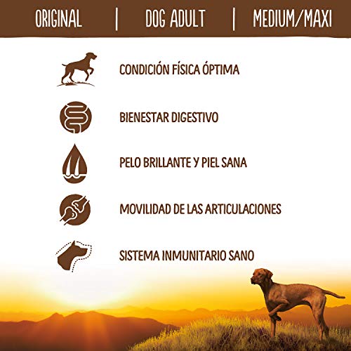 True Instinct Original Pienso para Perros Adultos Medium-Maxi con Pollo - 12 kg