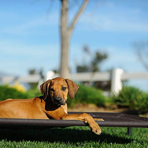 Veehoo Cama Perro Refrescante - Cama Elevada para Mascotas Anticalor y Antidesgarra en Verano, L, Marrón