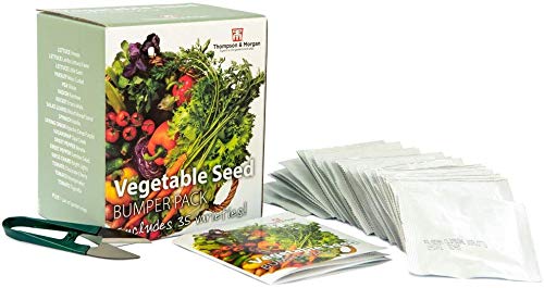 Vegetal Semilla Caja Parachoques Paquete Incluye 35 Diferente Variedades Lechuga Tomate Zanahoria Ensalada Hojas más 1 Gratis Par de Tijeras Jardín, Regalo Ideal, 1X por Thompson y Morgan