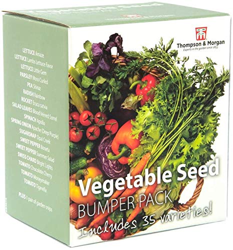 Vegetal Semilla Caja Parachoques Paquete Incluye 35 Diferente Variedades Lechuga Tomate Zanahoria Ensalada Hojas más 1 Gratis Par de Tijeras Jardín, Regalo Ideal, 1X por Thompson y Morgan