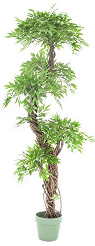 Vert Lifestyle Árbol Artificial de Feng Shui, Hojas Artificiales realistas con Corteza Real La Planta Mide Aproximadamente 166 cm de Alto