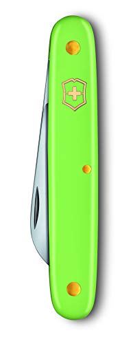 Victorinox V39050.47B1 Navaja P/Flores, Verde, S