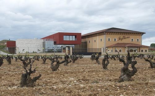 Vinos Figuero (Figuero 4,Vino tinto,Vino ribera del duero, 4500ml)